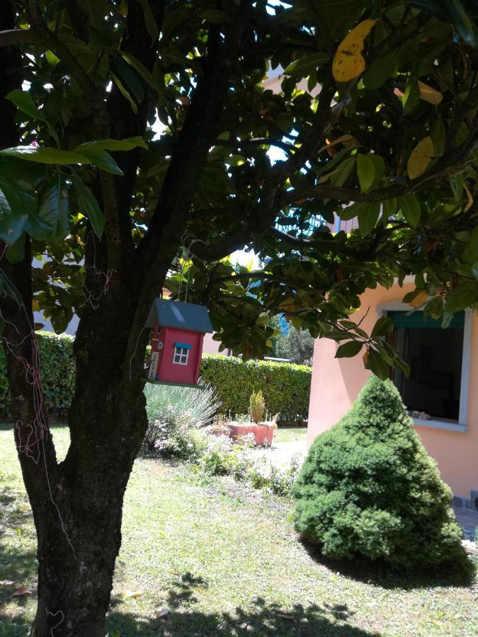 La Moia Bed & Breakfast Cerete Exterior photo